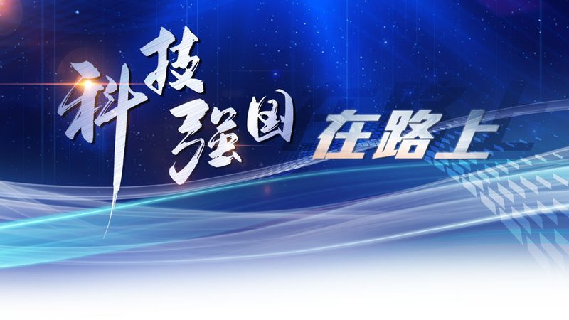 RPA实施公司优缺点对比